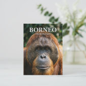 Tanjung-Puting-Nationalpark Indonesien Postkarte (Stehend Vorderseite)