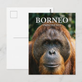 Tanjung-Puting-Nationalpark Indonesien Postkarte (Vorne/Hinten)