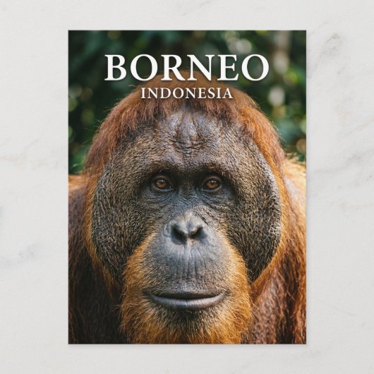 Tanjung-Puting-Nationalpark Indonesien Postkarte (Vorderseite)