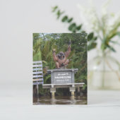 Tanjung Putting Nationalpark, Insel Borneo Postkarte (Stehend Vorderseite)