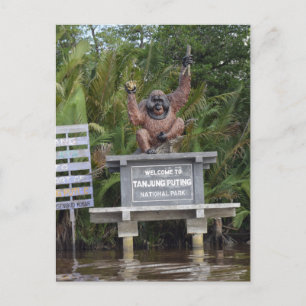 Tanjung Putting Nationalpark, Insel Borneo Postkarte