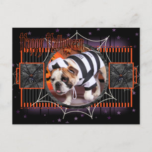 Tank - English Bulldog - Decap Postkarte