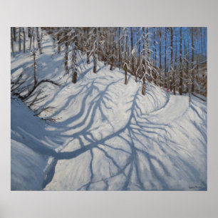 Tannen-Baum beschattet Tignes 2009 Poster