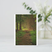 Tannen-Baum-Weg Postkarte