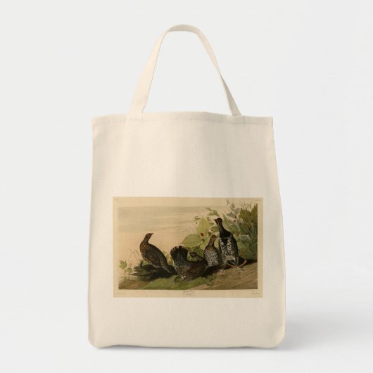 Tannen-Schneehuhn Audubons Birds of America Tragetasche (Vorne)