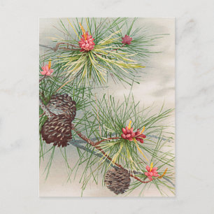 Tannenbaum Kiefern und Blumen Malerei Urlaub Feiertagspostkarte