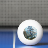 TANNENBAUM TISCHTENNISBALL (Netto)