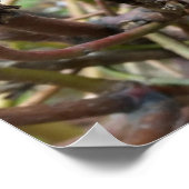 Tannenkegel Poster (Ecke)