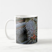 Tannenknospen Kaffeetasse (Links)