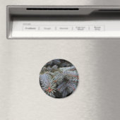 Tannenknospen Magnet (In Situ (Geschirrspüler))