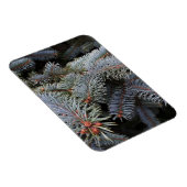 Tannenknospen Magnet (Rechte Seite)