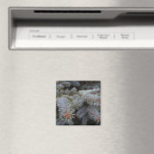 Tannenknospen Magnet (In Situ (Geschirrspüler))