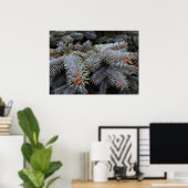 Tannenknospen Poster (Heimbüro)