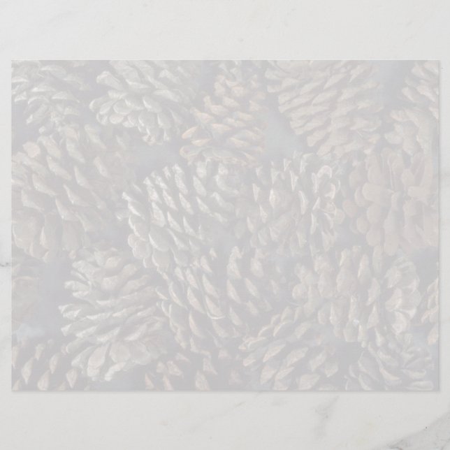 Tannenzapfen Textur (Vorderseite)