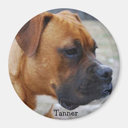 Tanner Magnet (Vorne)
