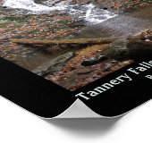 Tannery Falls Savoy National Forest Berkshires, MA Poster (Ecke)