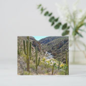 Tanque Verde Canyon Postkarte (Stehend Vorderseite)