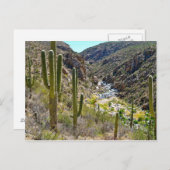 Tanque Verde Canyon Postkarte (Vorne/Hinten)