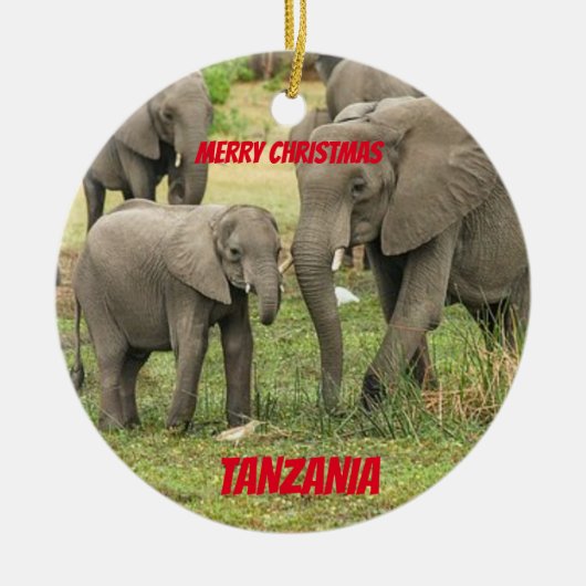 Tansania Custom Lion / Elephant Ornament (Vorne)