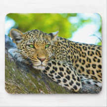 Tansania Leopard Mouse Pad