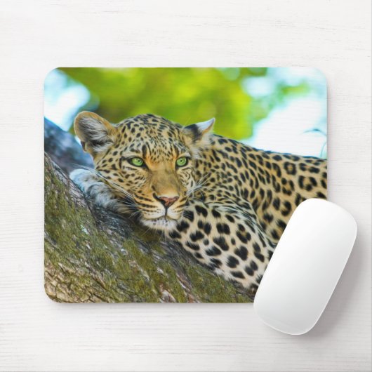 Tansania Leopard Mouse Pad Mousepad (Mit Mouse)