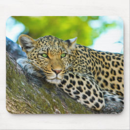 Tansania Leopard Mouse Pad Mousepad