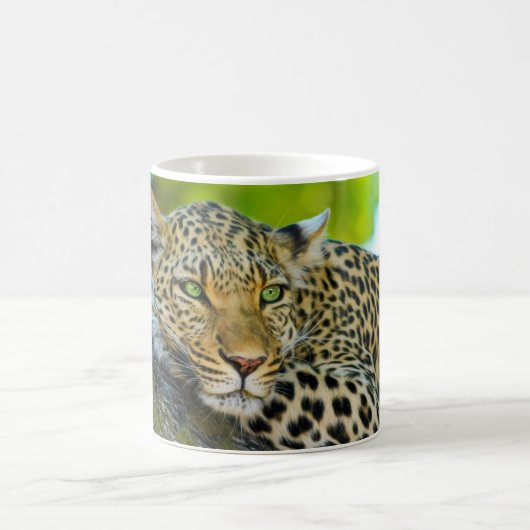 Tansania Leopard Tasse (Mittel)