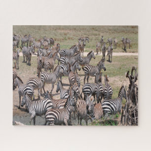 Tansania-Nationalpark. Puzzle