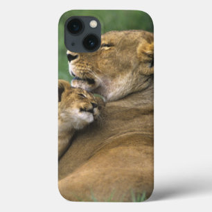 Tansania, Ngorongoro-Krater. Afrikanische Löwenmut Case-Mate iPhone Hülle
