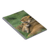 Tansania, Ngorongoro-Krater. Afrikanische Löwenmut Notizblock (Rechte Seite)