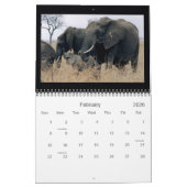 Tansania Odyssey Calendar Kalender (Feb 2026)