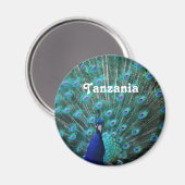Tansania Peacock Magnet (Vorderseite/Rückseite)