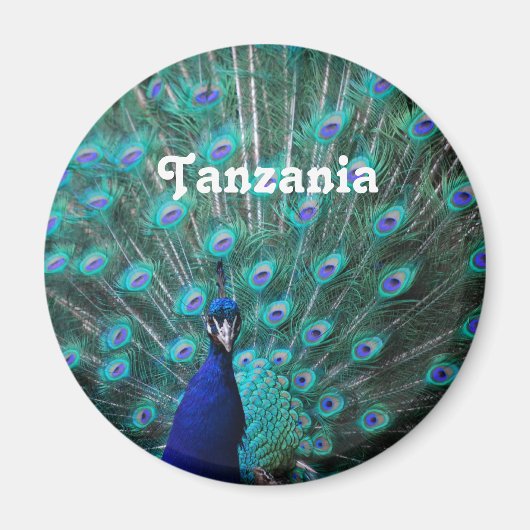 Tansania Peacock Magnet (Vorne)