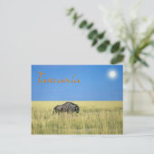 Tansania Postkarte (Stehend Vorderseite)
