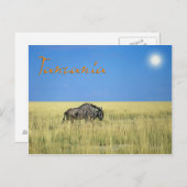 Tansania Postkarte (Vorne/Hinten)