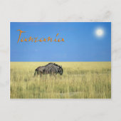 Tansania Postkarte (Vorderseite)