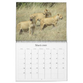 Tansania Safari 2025 Kalender (Mär 2026)