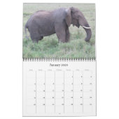 Tansania Safari 2025 Kalender (Jan 2026)