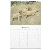 Tansania Safari Kalender (Mär 2027)
