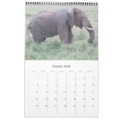 Tansania Safari Kalender (Jan 2026)