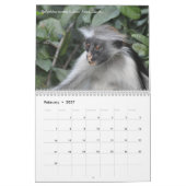 Tansania-Safari-Kalender 2016 Kalender (Feb 2027)