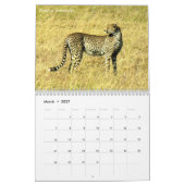 Tansania-Safari-Kalender 2016 Kalender (Mär 2027)