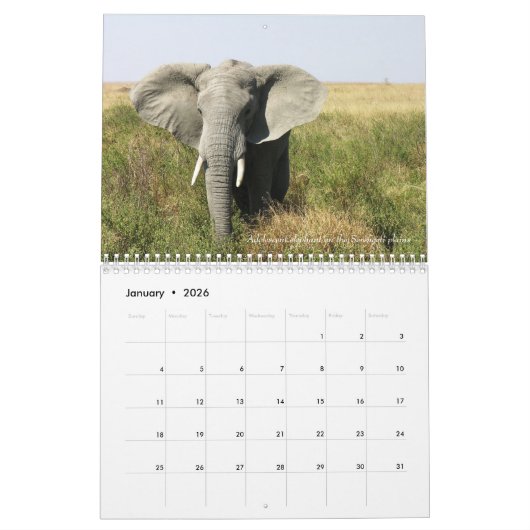 Tansania-Safari-Kalender 2016 Kalender (Jan 2026)