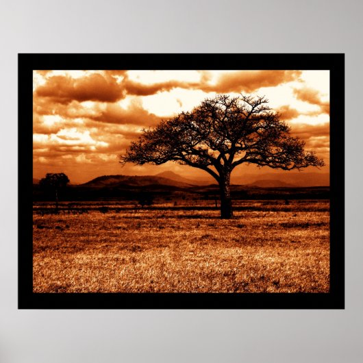 Tansania Safari Poster (Vorne)