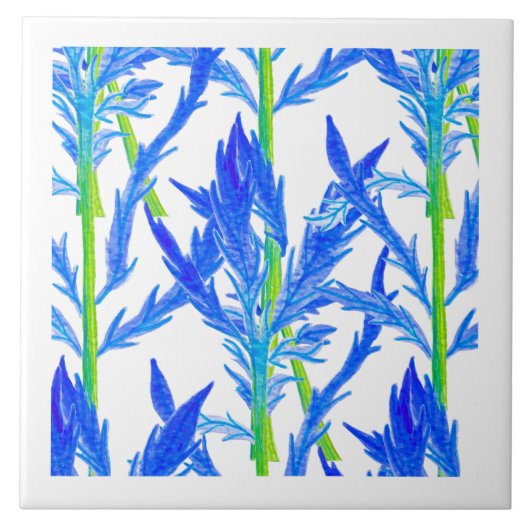 Tansy (L) auf einer Keramik Fliese (Vorderseite)