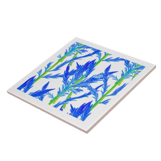 Tansy (L) auf einer Keramik Fliese (Seite)