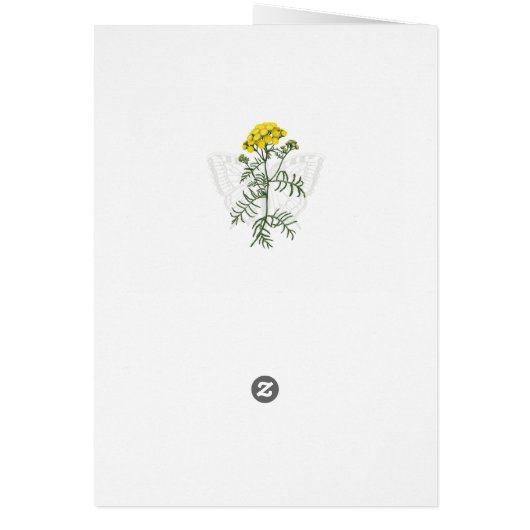 Tansy und Frack (Hinten)