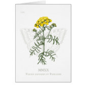 Tansy und Frack (Vorne)