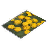 TansyTanacetum vulgare Notizblock (Linke Seite)