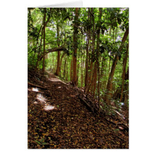Tantalus Wanderweg